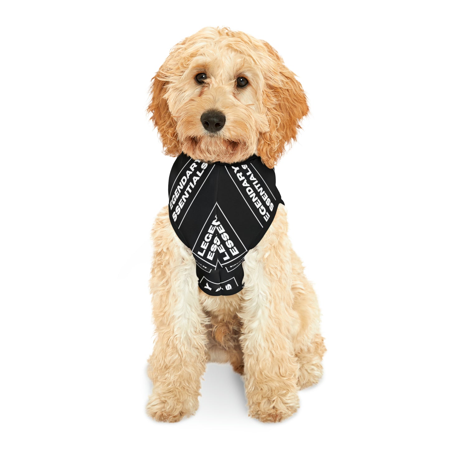 L.E Box Logo Dog Hoodie